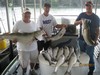 (07/16/2017) - Nice Striped Bass